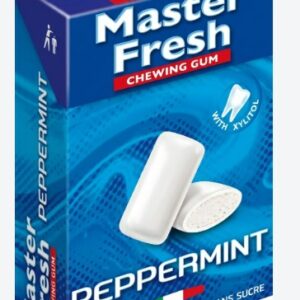 MASTER FRESH CHEWING-GUM ICEMINT 24 G